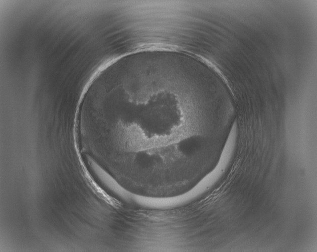 X0000056331379200509161658