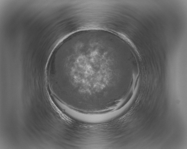 X0000056331380200509161658