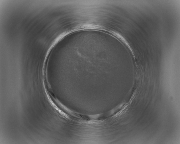 X0000056331381200509161658