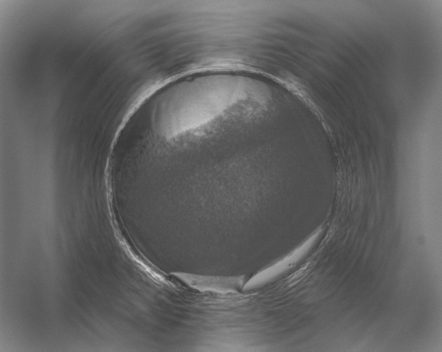 X0000056331382200509161658