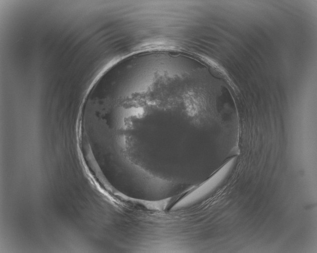 X0000056331383200509161658