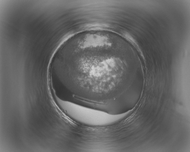 X0000056331384200509161658