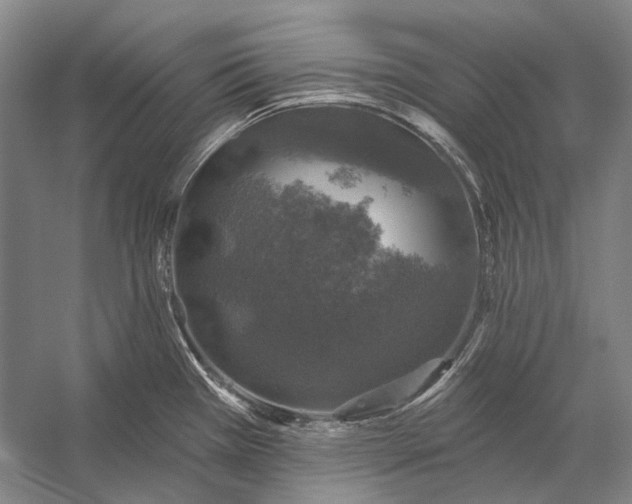 X0000056331385200509161658