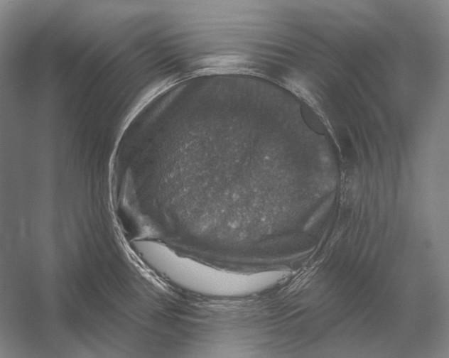 X0000056331386200509161658