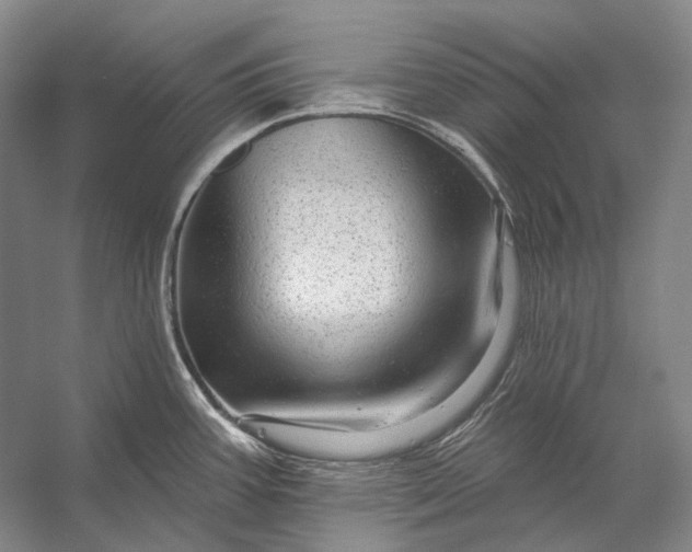 X0000056331387200509161658