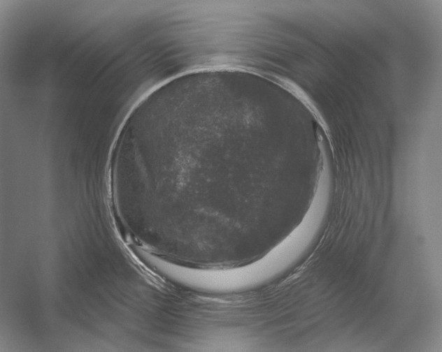 X0000056331388200509161658