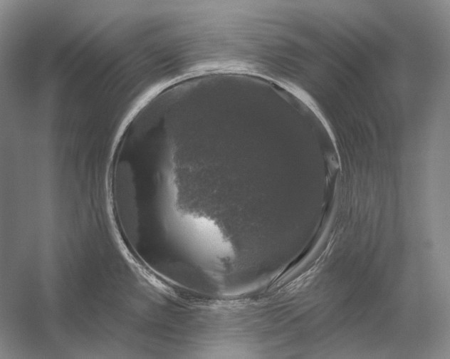 X0000056331389200509161658