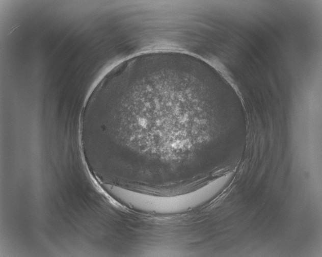 X0000056331390200509161658