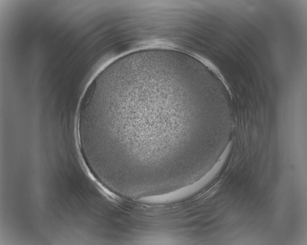 X0000056331391200509161658