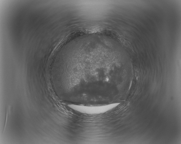 X0000056331393200509161657