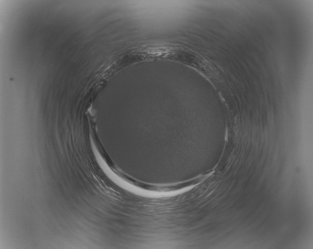 X0000056331394200509161657