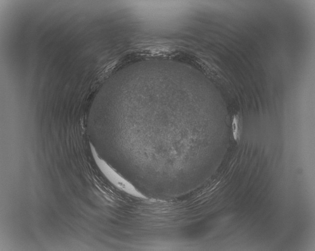 X0000056331395200509161657