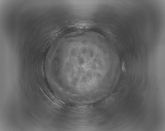 X0000056331396200509161657