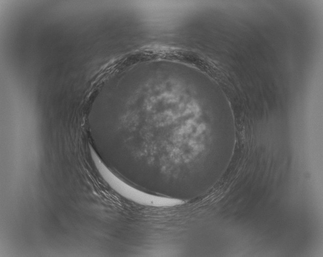 X0000056331397200509161657