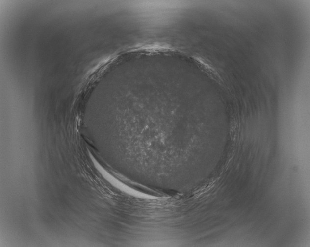 X0000056331398200509161657