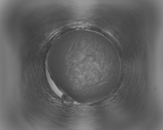 X0000056331399200509161657