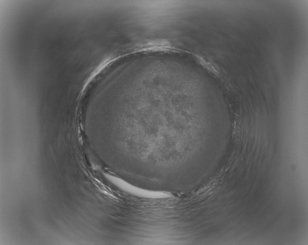 X0000056331400200509161657