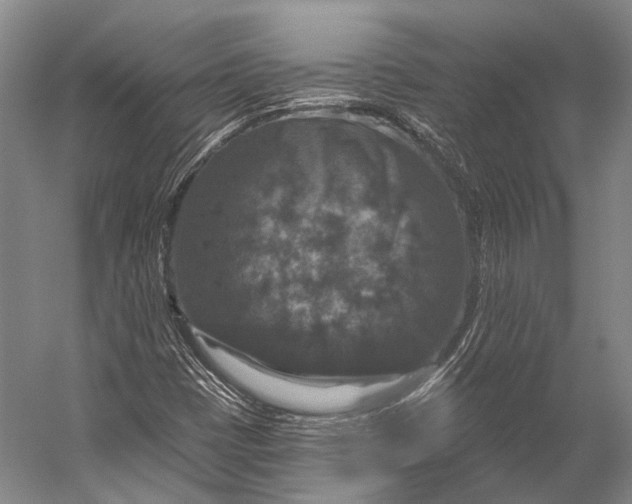 X0000056331401200509161657