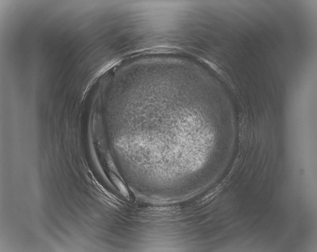 X0000056331402200509161657