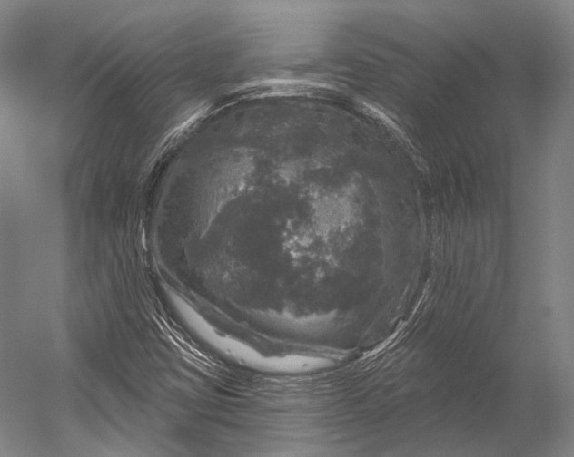 X0000056331403200509161657