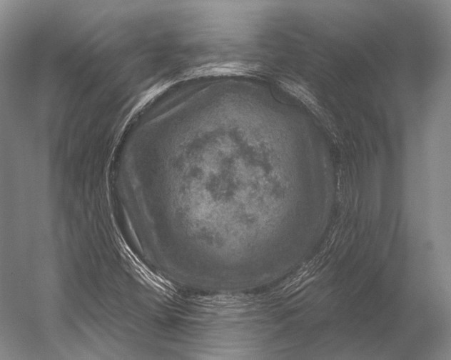 X0000056331404200509161657