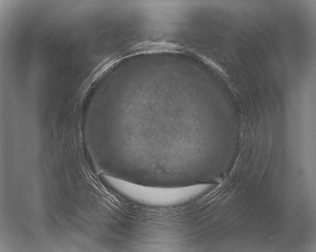 X0000056331407200509161657