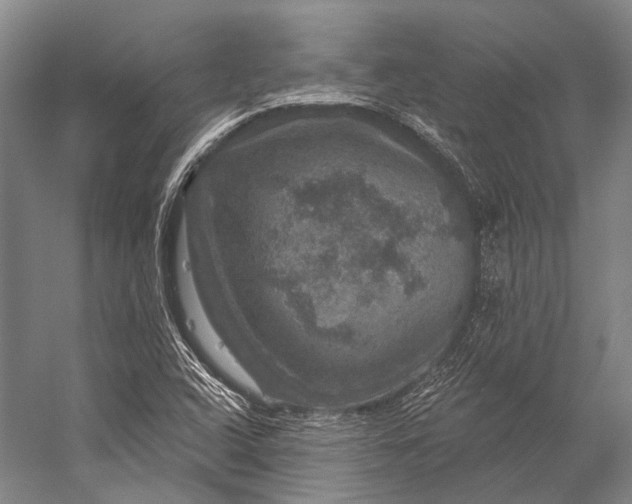 X0000056331408200509161657