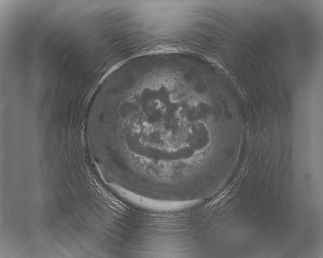 X0000056331409200509161657