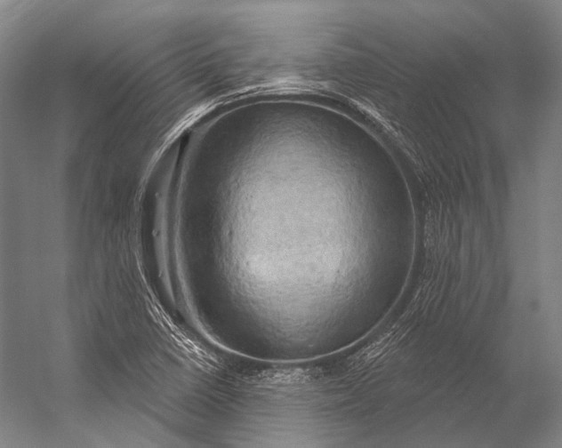 X0000056331410200509161657