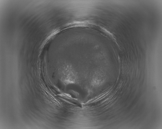 X0000056331411200509161657