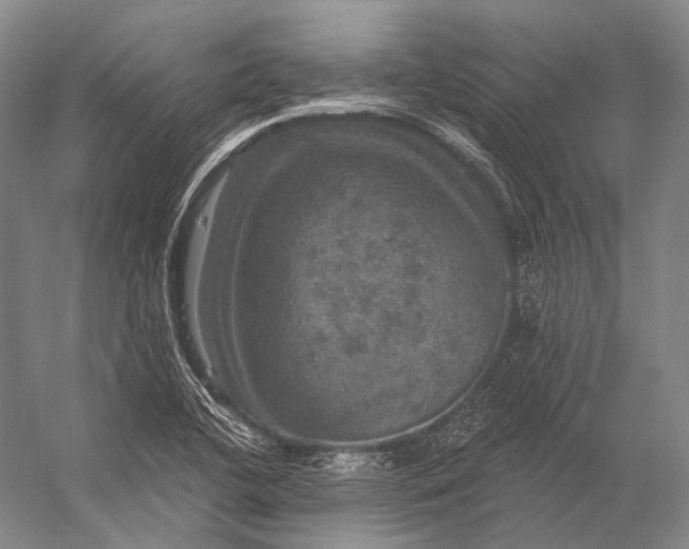 X0000056331412200509161657