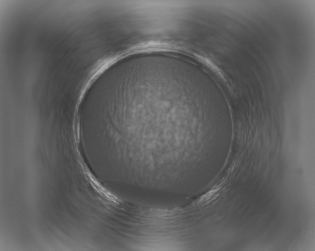 X0000056331413200509161657