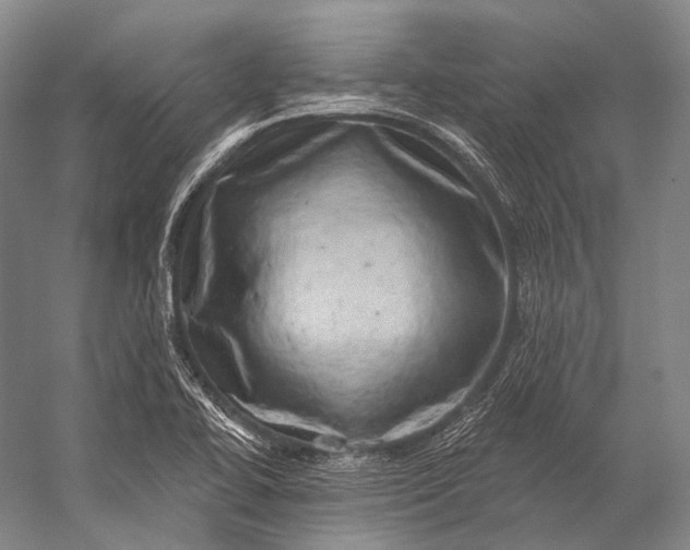 X0000056331414200509161657