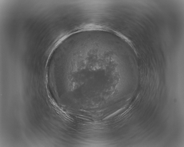 X0000056331415200509161657