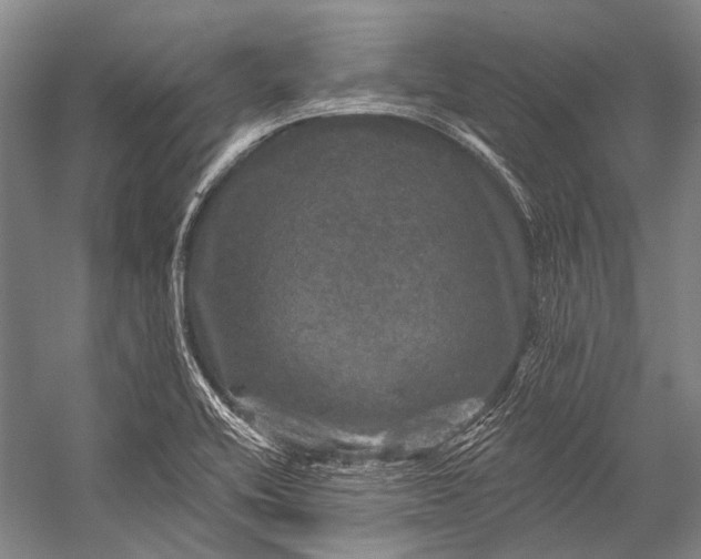 X0000056331416200509161657