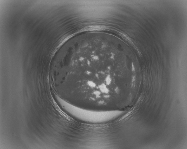 X0000056331417200509161657