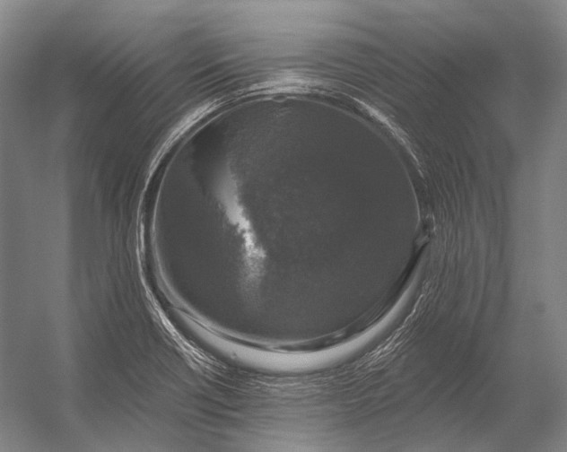 X0000056331418200509161657