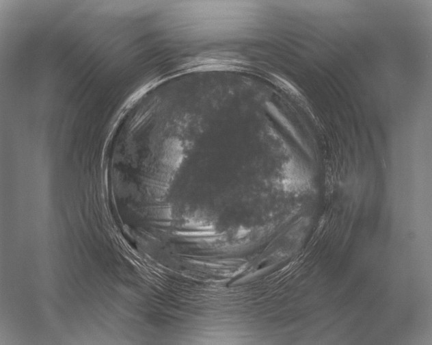 X0000056331419200509161657