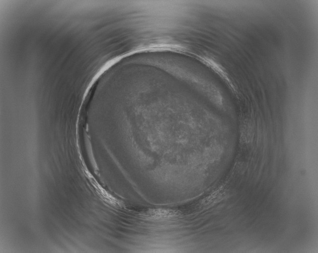 X0000056331420200509161657