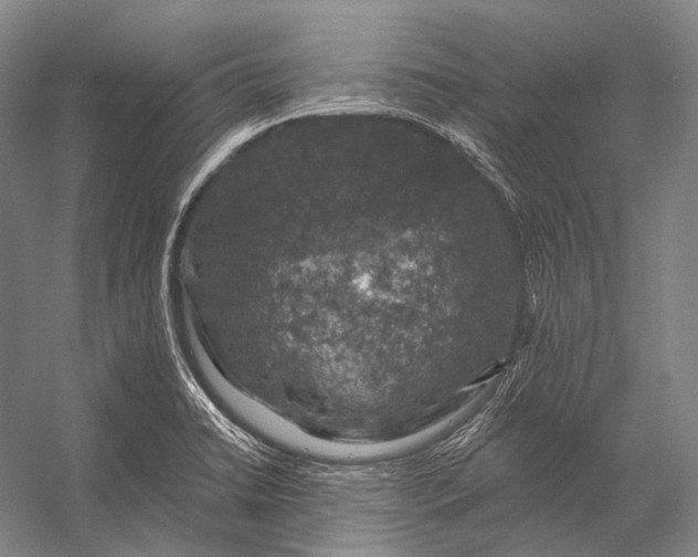 X0000056331422200509161657