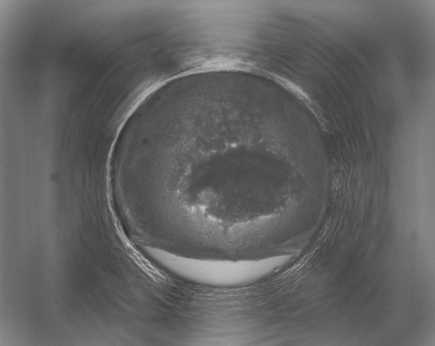 X0000056331423200509161657