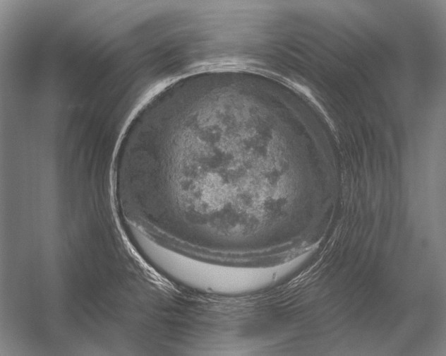 X0000056331424200509161657