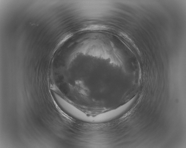 X0000056331425200509161657