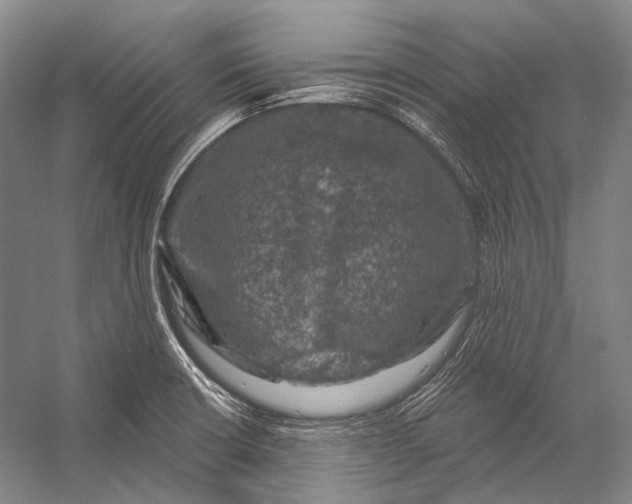 X0000056331426200509161657