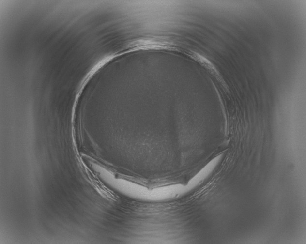 X0000056331427200509161657