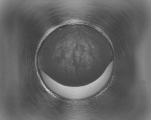 X0000056331429200509161658