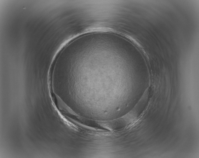 X0000056331430200509161658