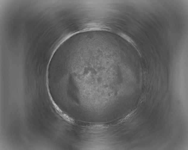 X0000056331431200509161658