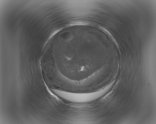 X0000056331433200509161658