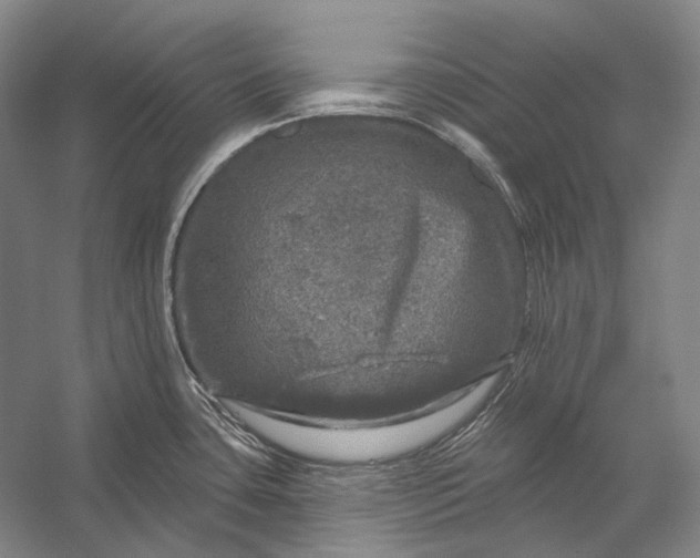 X0000056331435200509161658